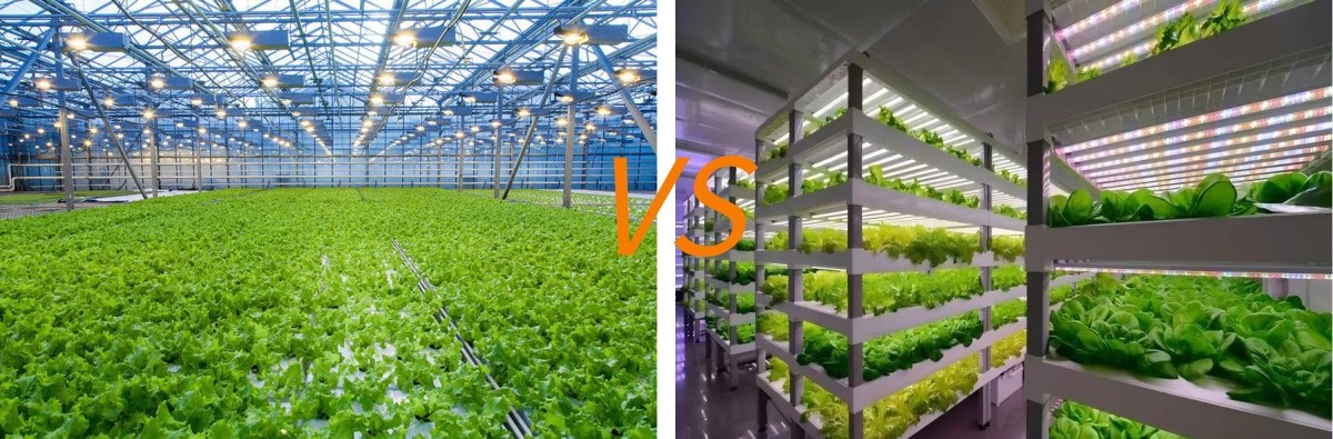 plant factory vs greenhouse plant factory vs greenhouse