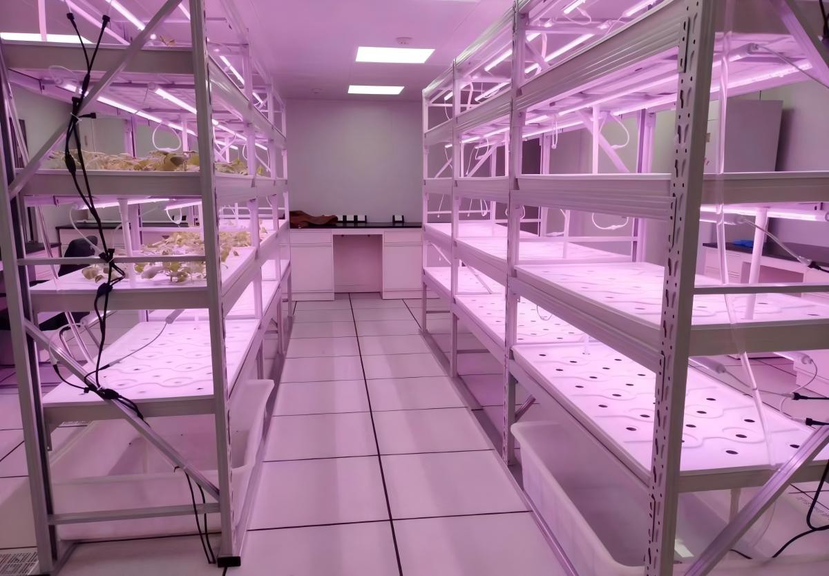 Vertical Grow Rack.jpg