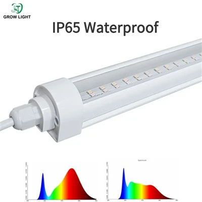 Hydroponic LED vokser lys til lodret landbrug